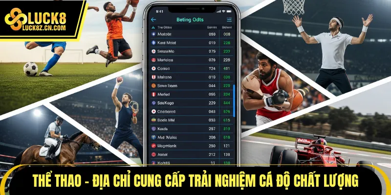 Thể thao Luck8 - Địa chỉ cung cấp trải nghiệm cá độ chất lượng